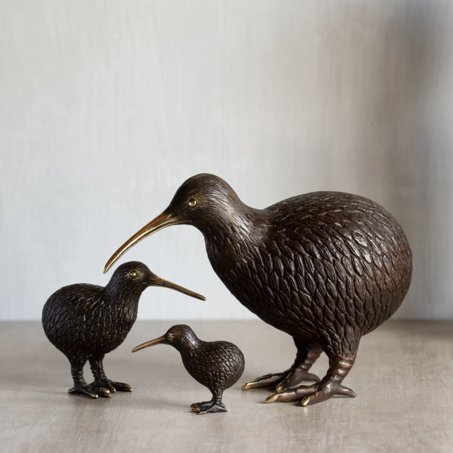 Bronze Kiwi Family